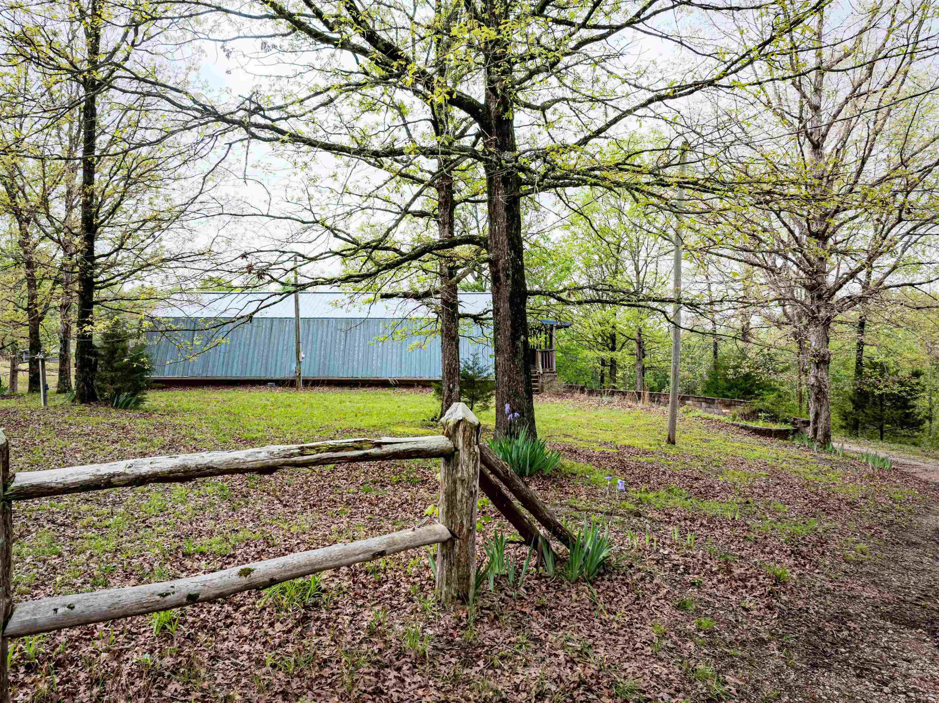 800 Bob's Landing Road Bath Springs, TN 38311 - Photo 6 of 48 a view of a yard with a tree