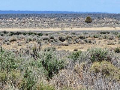 300 Millican Road Christmas Valley, OR 97641 - Photo 2 of 10 Millican acreage 3