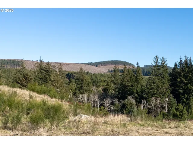 $190,000 | Tides-lot 10th Loop, Tillamook, OR 97141