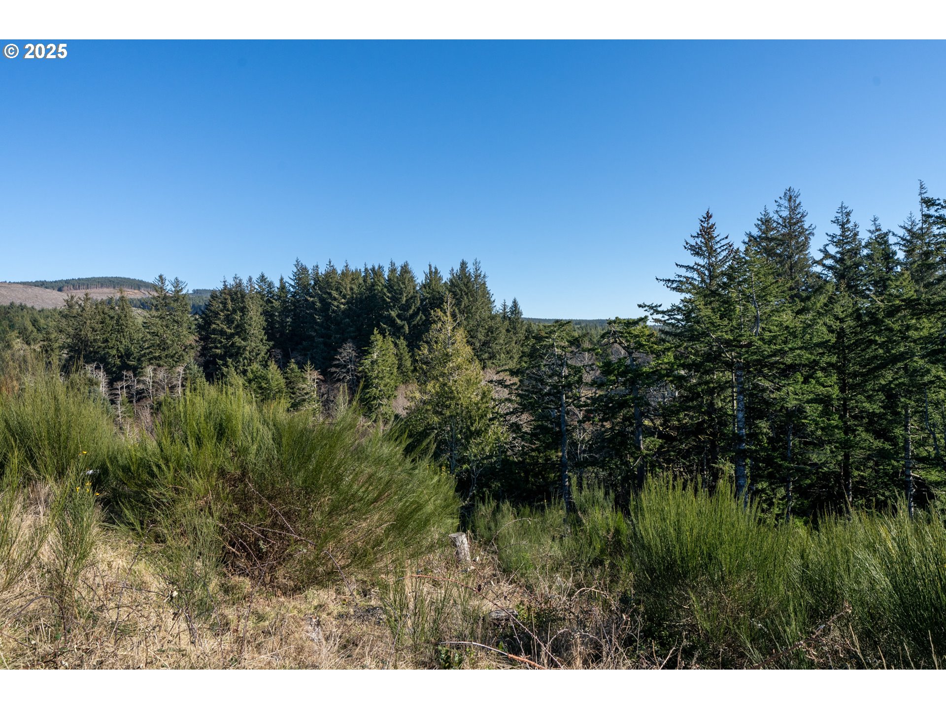 Tides-lot 10th Loop Tillamook, OR 97141 - Photo 2 of 13