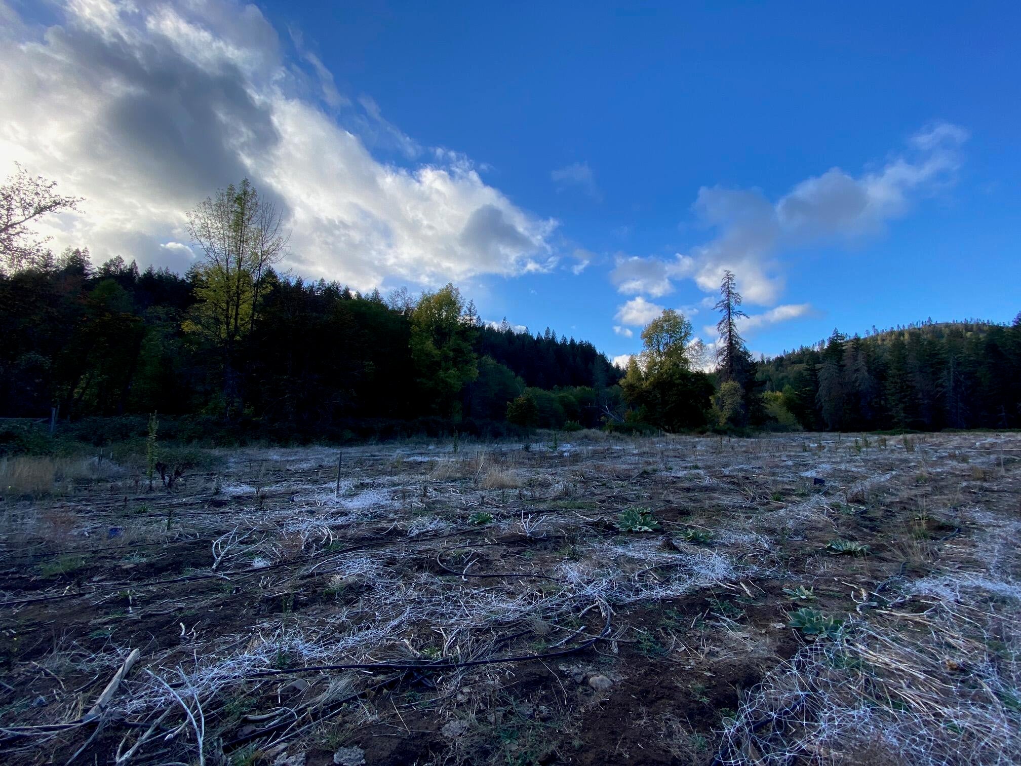 0 Elk Creek Road, Unit 500 Trail, OR 97541 - Photo 21 of 44 IMG_3658
