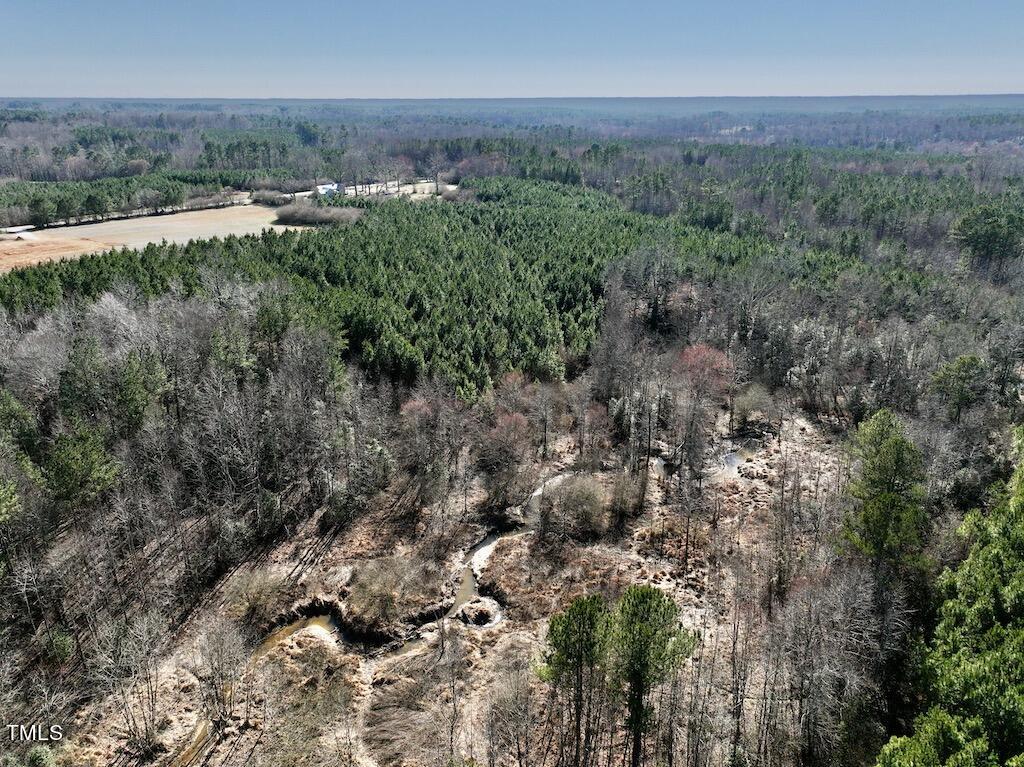 9 Peachtree Hills Road Spring Hope, NC 27882 - Photo 14 of 25 14