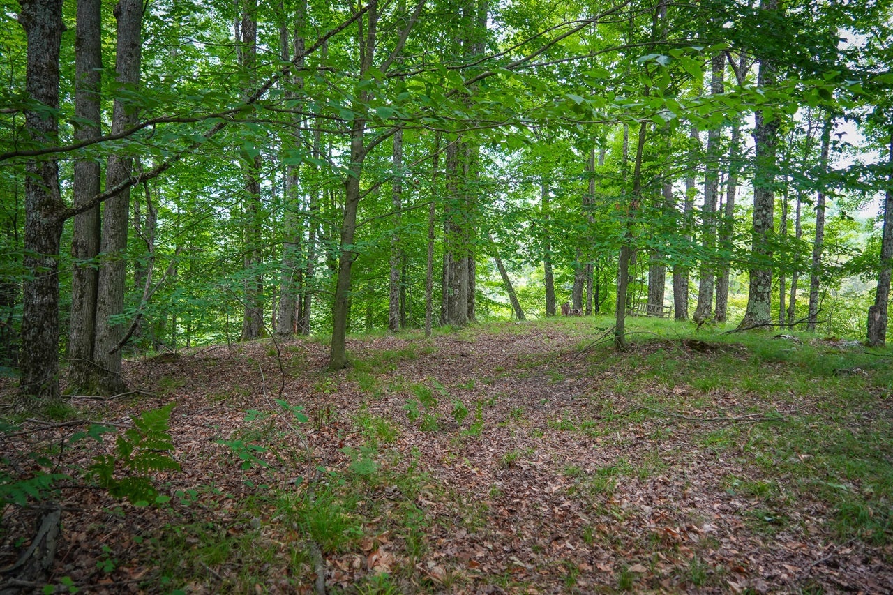 5118 North Raymond Road Luther, MI 49656 - Photo 40 of 67 Gallery Image 40