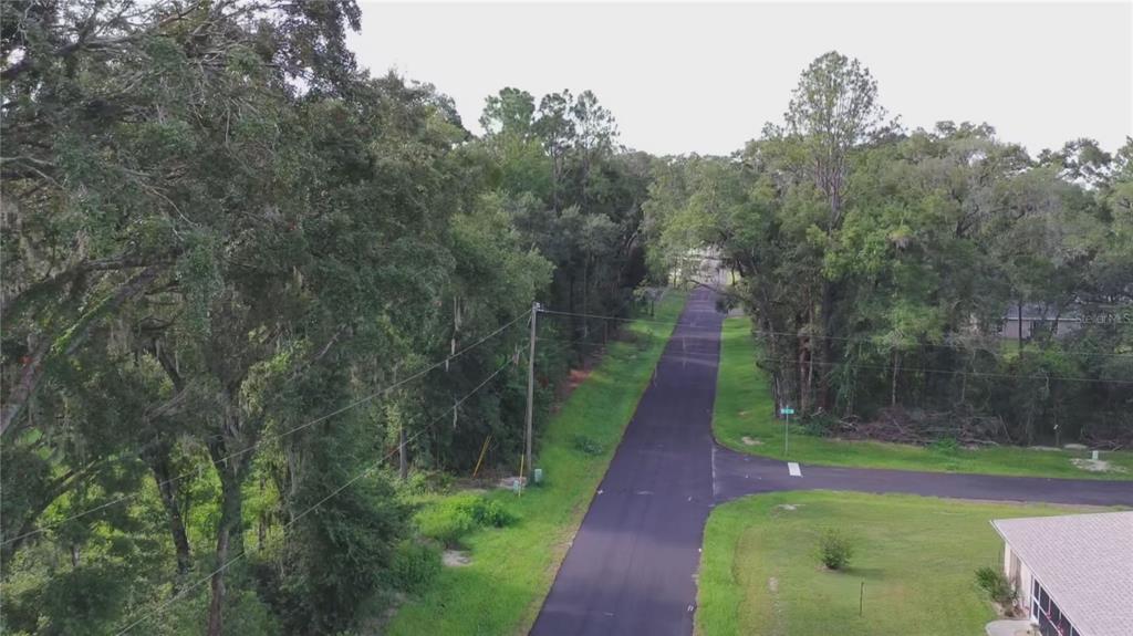 17604 Southwest 112th Lane Dunnellon, FL 34432 - Photo 22 of 23 a view of a park with large trees