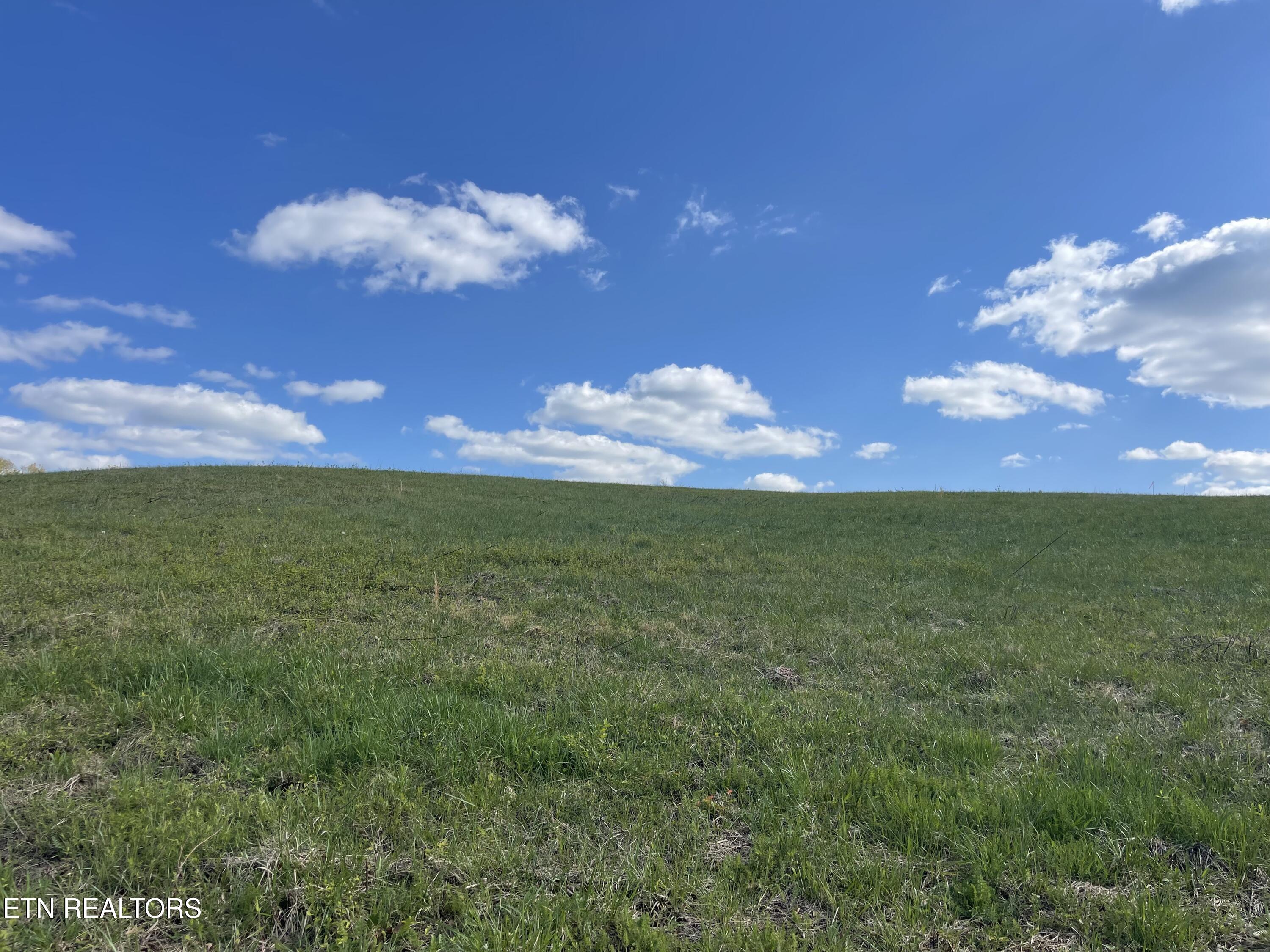 Lot 2 Laura Boling Loop Road Strawberry Plains, TN 37871 - Photo 1 of 2 4B616DB9-19CF-49AB-83CA-CC8769131D6E