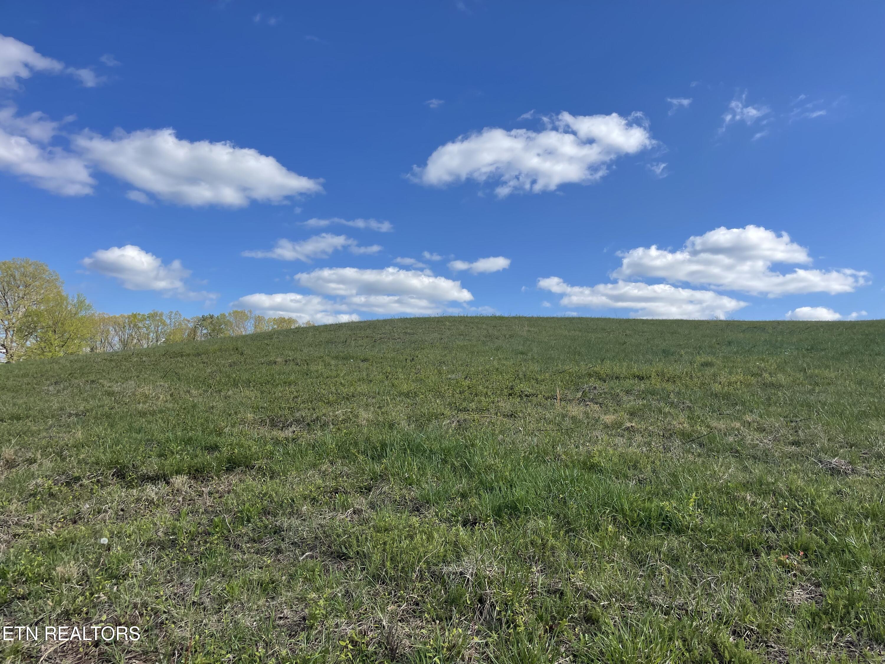 Lot 2 Laura Boling Loop Road Strawberry Plains, TN 37871 - Photo 2 of 2 037AE030-3B80-43C1-9DB2-2D52F131CC70