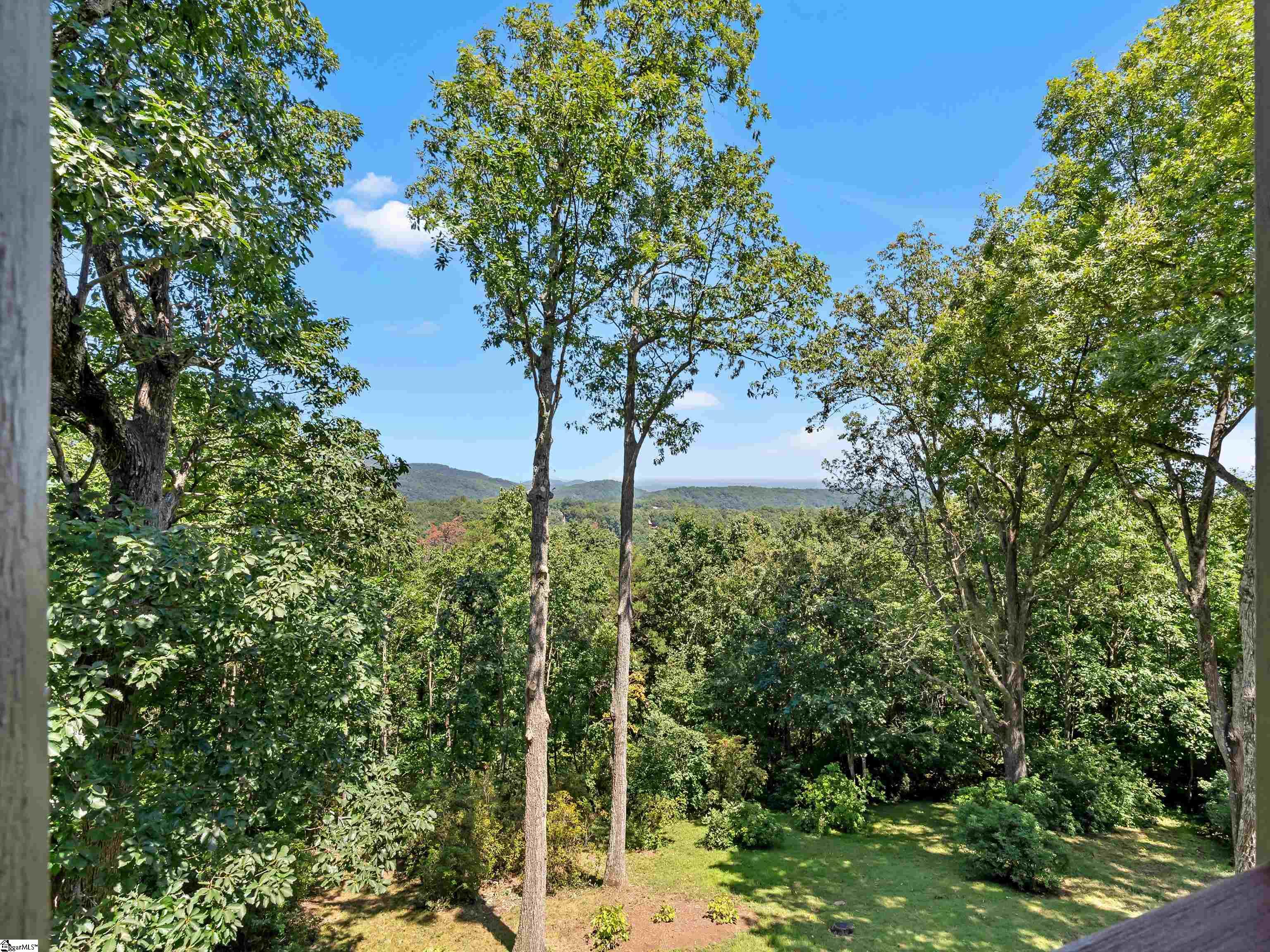 8 Goshawk Drive Landrum, SC 29356 - Photo 5 of 39 Gallery Image 5