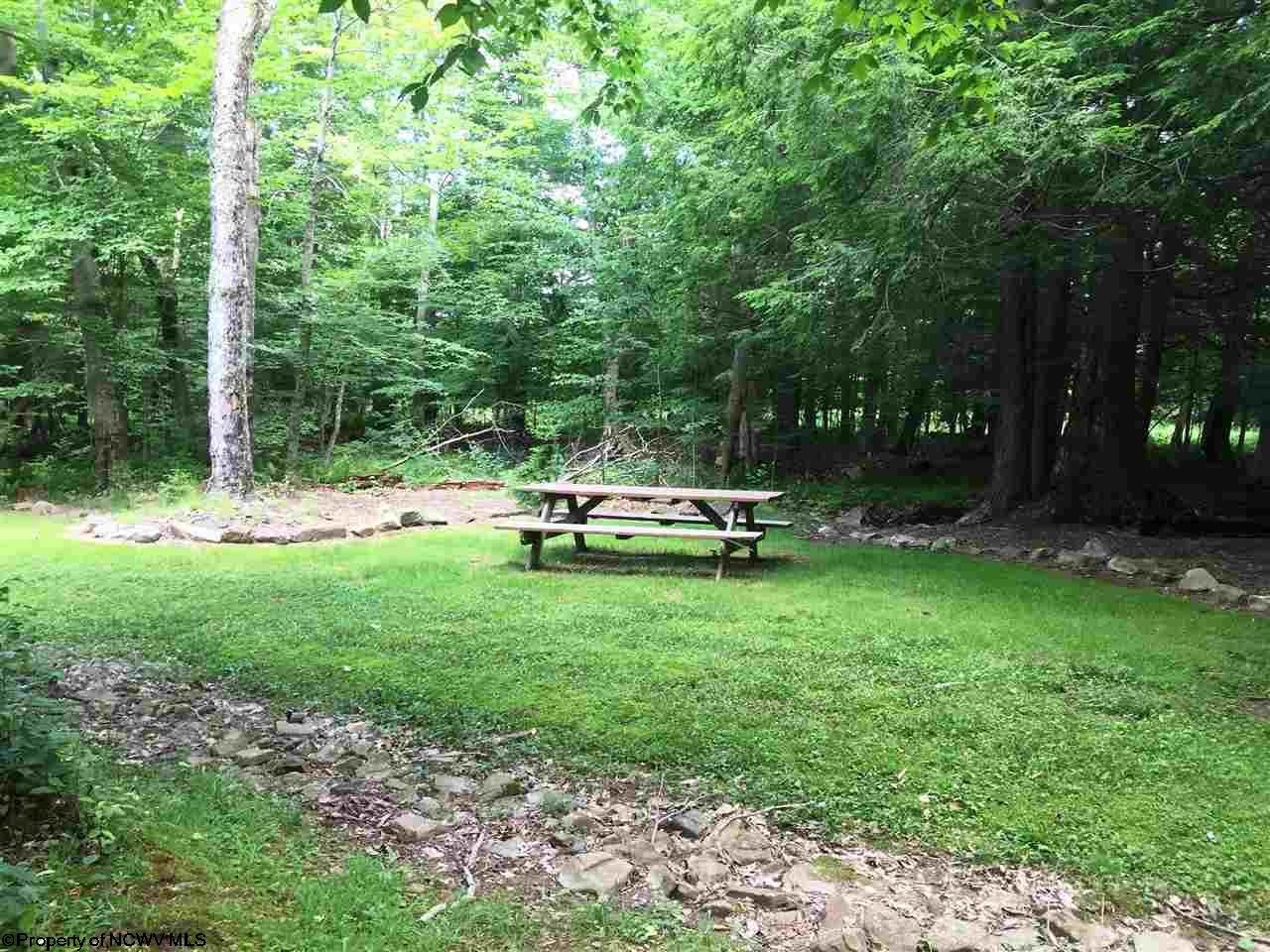 8 Yoakum Road Davis, WV 26260 - Photo 15 of 17 Gallery Image 15