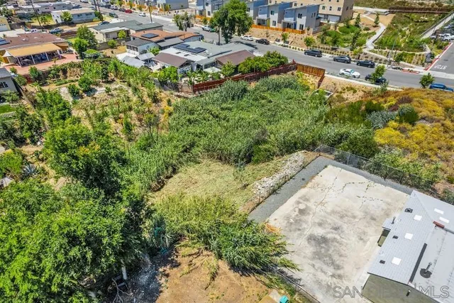 a view of a garden with a pathway