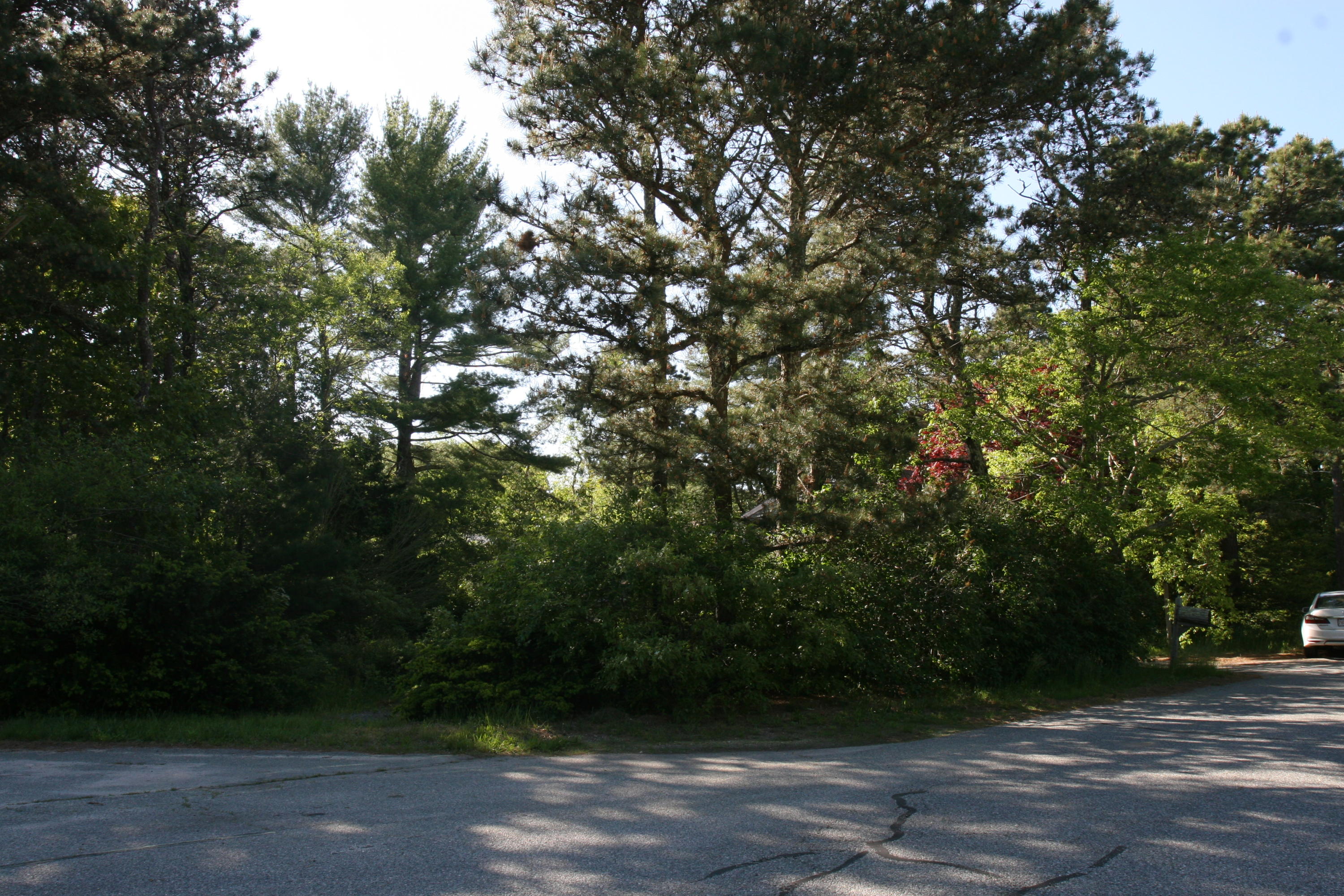 117 Turtleback Road Marstons Mills, MA 02648 - Photo 23 of 35 a view of outdoor space and yard