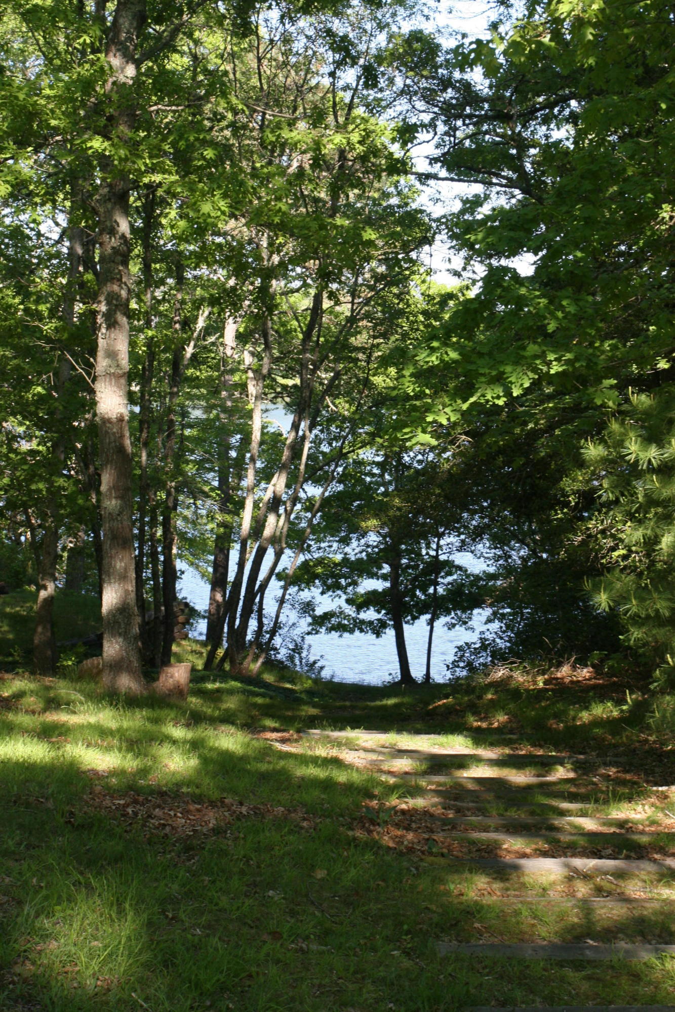 117 Turtleback Road Marstons Mills, MA 02648 - Photo 26 of 35 a view of a backyard