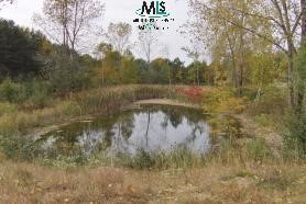 0 Church Street Applegate, MI 48401 - Photo 7 of 9 876825-6.JPG