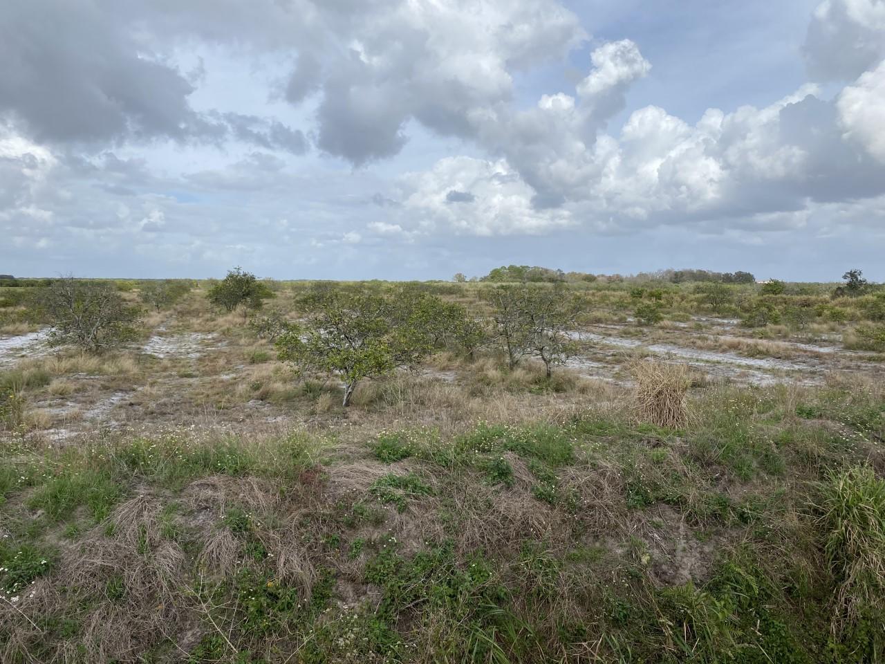 44590 Neal Road Punta Gorda, FL 33982 - Photo 1 of 1 44590 Neal Rd