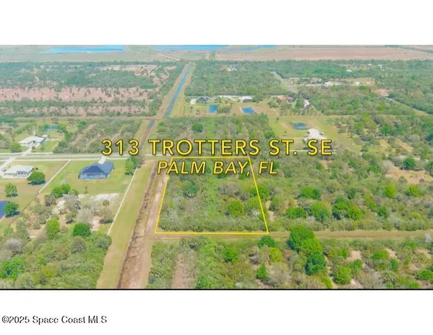 a black and white photo of a city