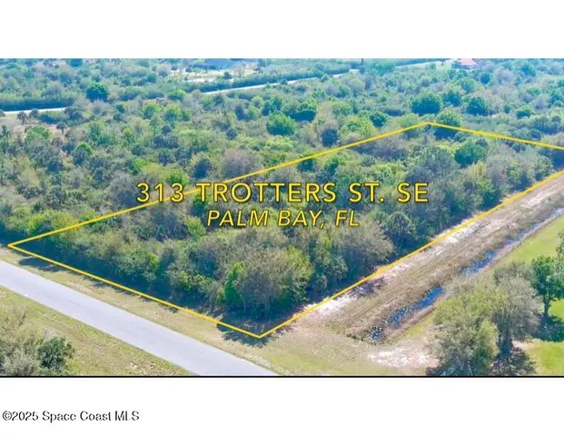 a black and white photo of a park