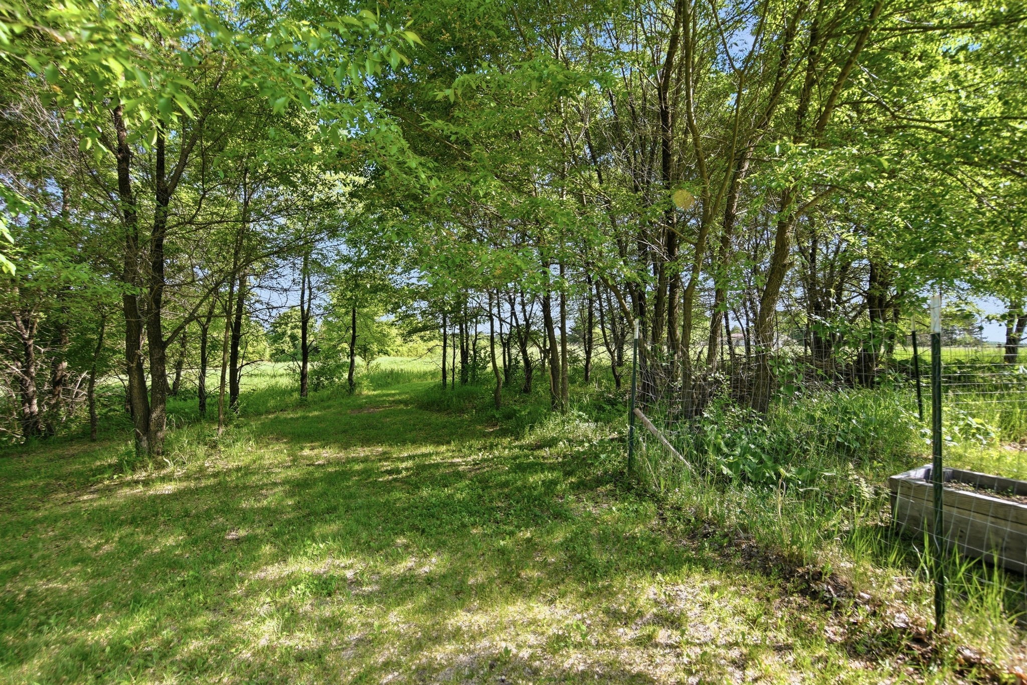 2317 145th Street Luck, WI 54853 - Photo 30 of 42