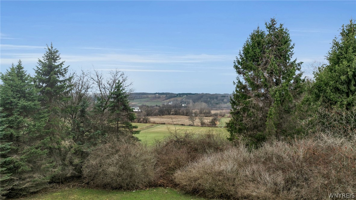 2956 Valley View Lane Sheldon, NY 14145 - Photo 6 of 50