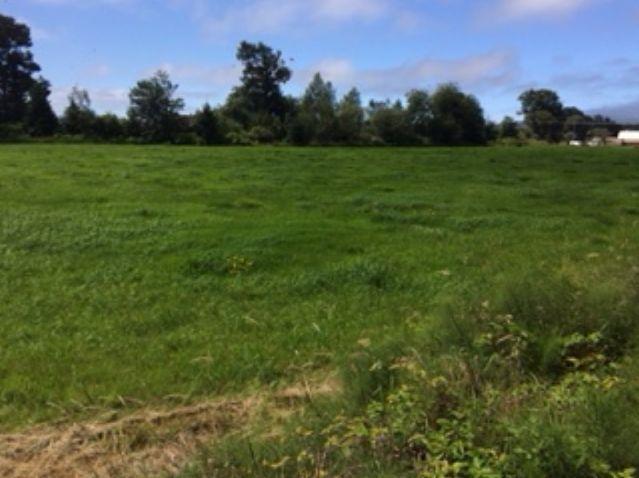 0 Latimer Road North Tillamook, OR 97141 - Photo 12 of 13 47