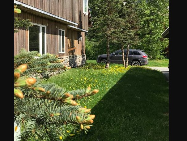 353 Hightower Road Other, AK 99587 - Photo 2 of 11 a backyard of a house with table and chairs