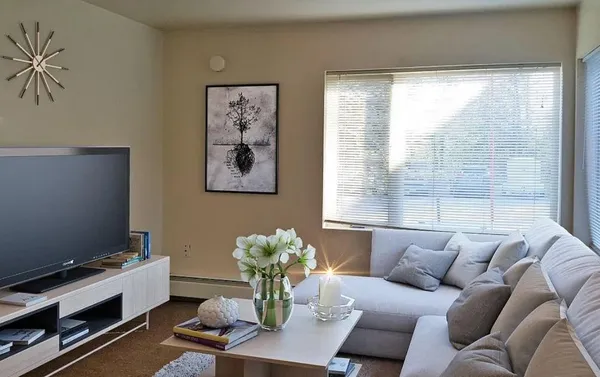 a living room with furniture flowerpot and window