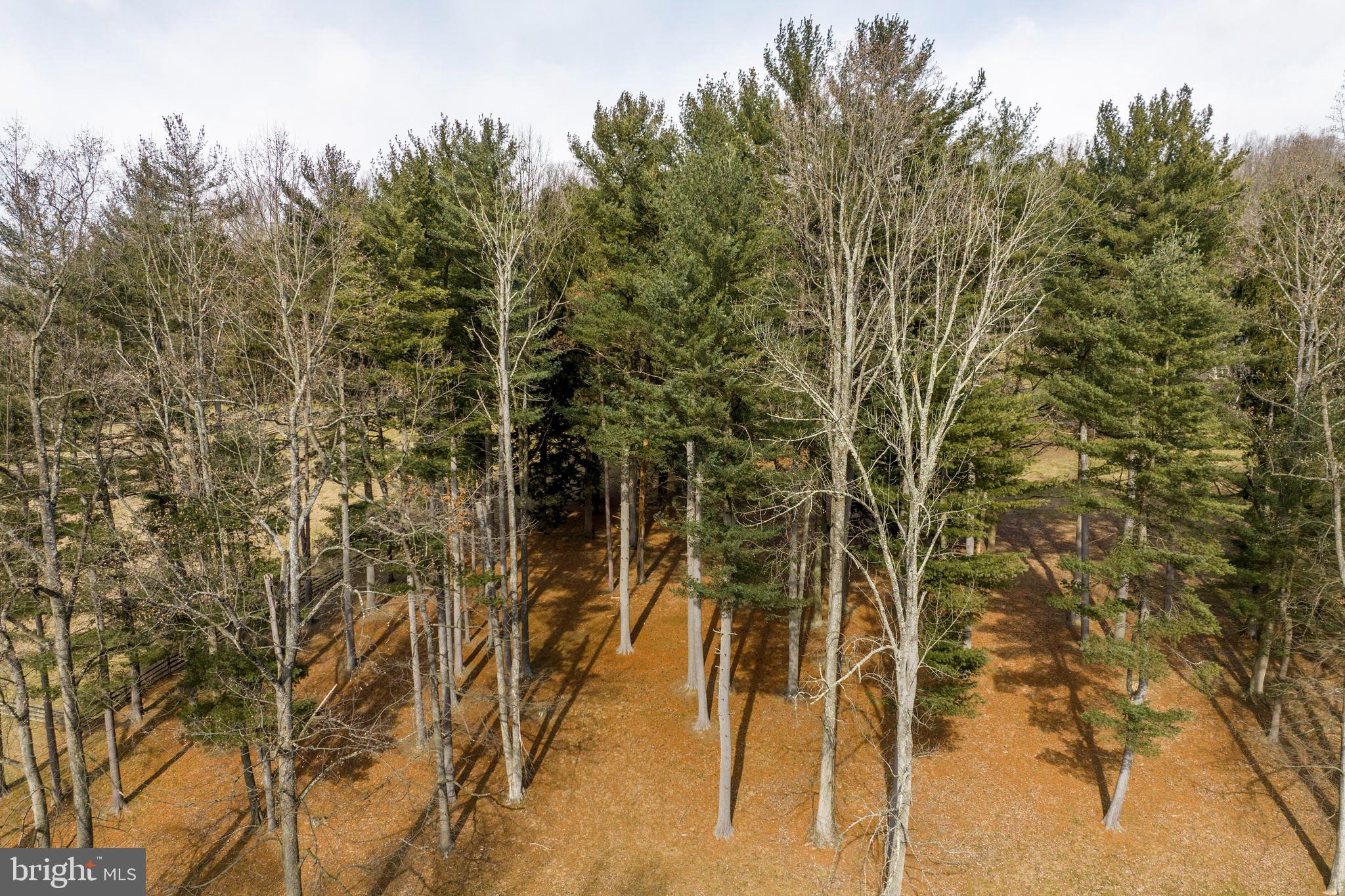 700 Laurel Ridge Road Reinholds, PA 17569 - Photo 35 of 143 Gallery Image 35