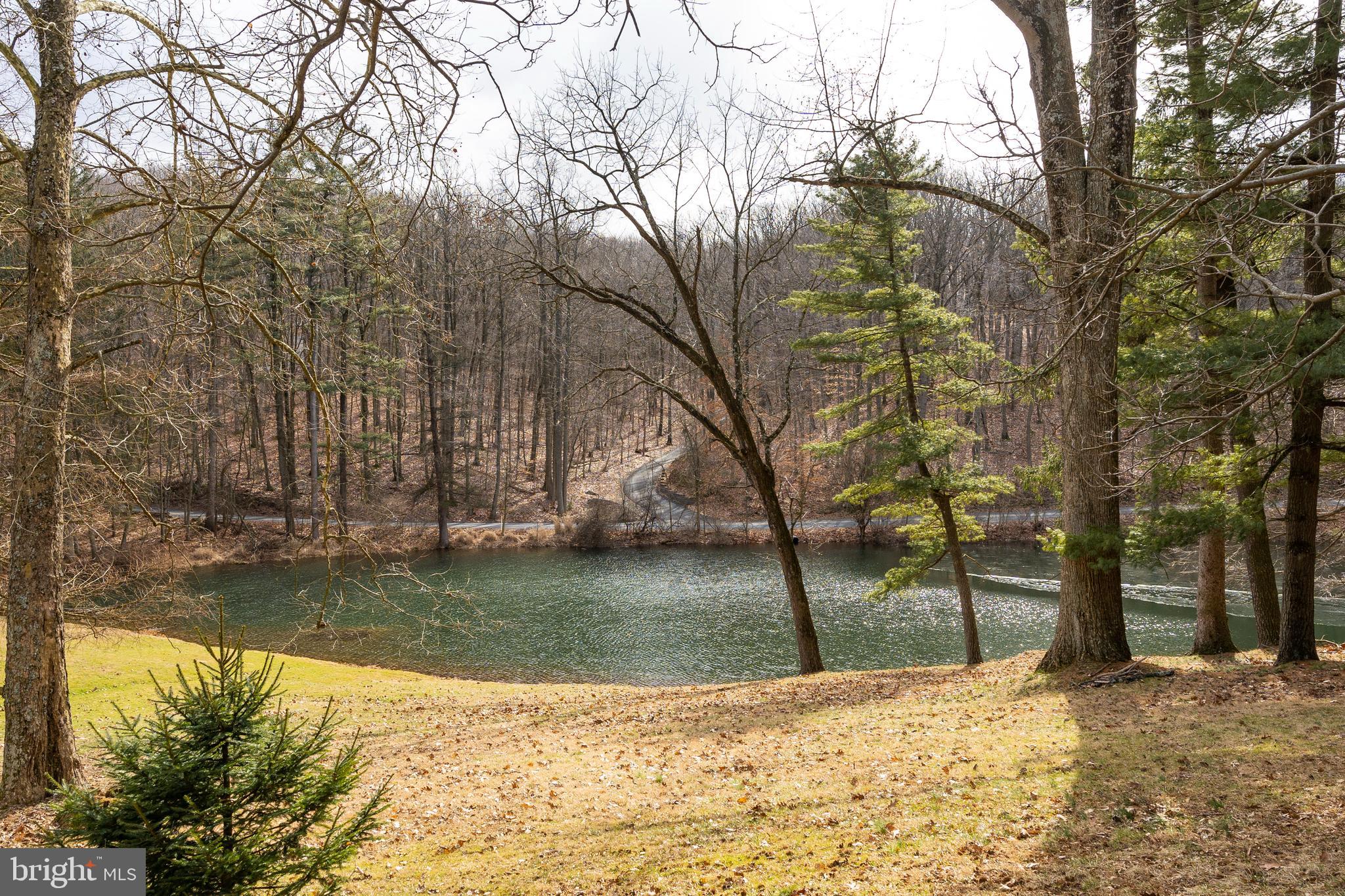 700 Laurel Ridge Road Reinholds, PA 17569 - Photo 81 of 143 Gallery Image 81