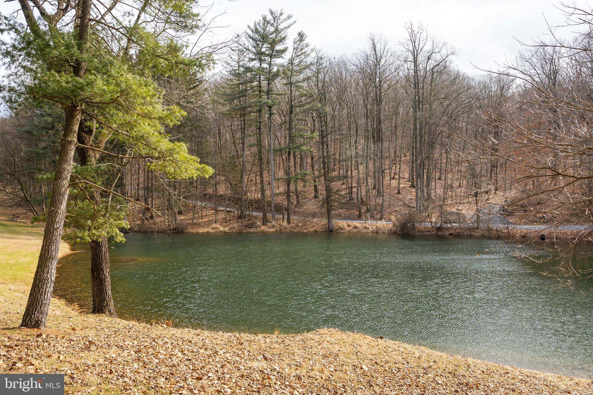 700 Laurel Ridge Road Reinholds, PA 17569 - Photo 82 of 143 Gallery Image 82
