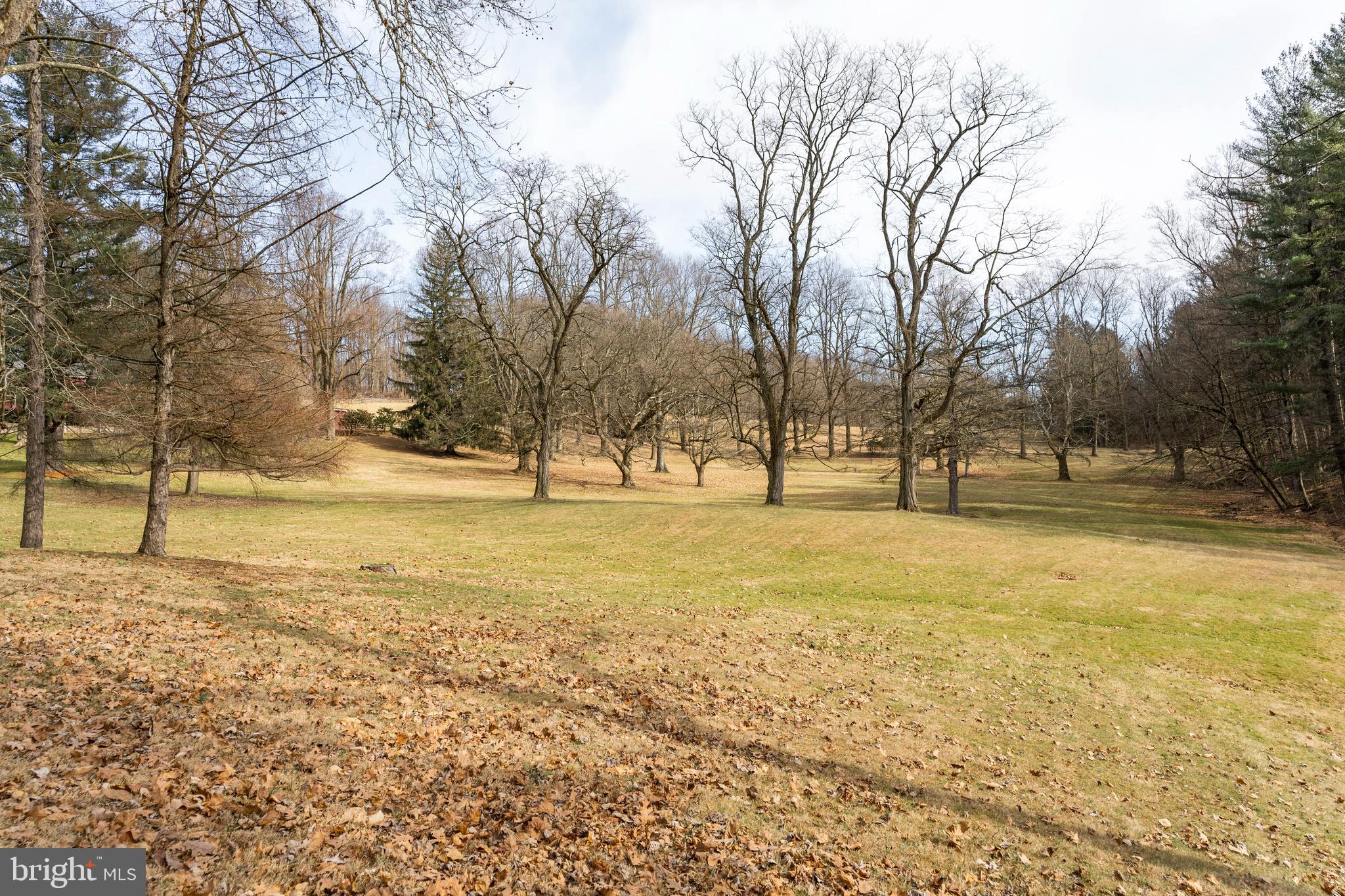 700 Laurel Ridge Road Reinholds, PA 17569 - Photo 83 of 143 Gallery Image 83