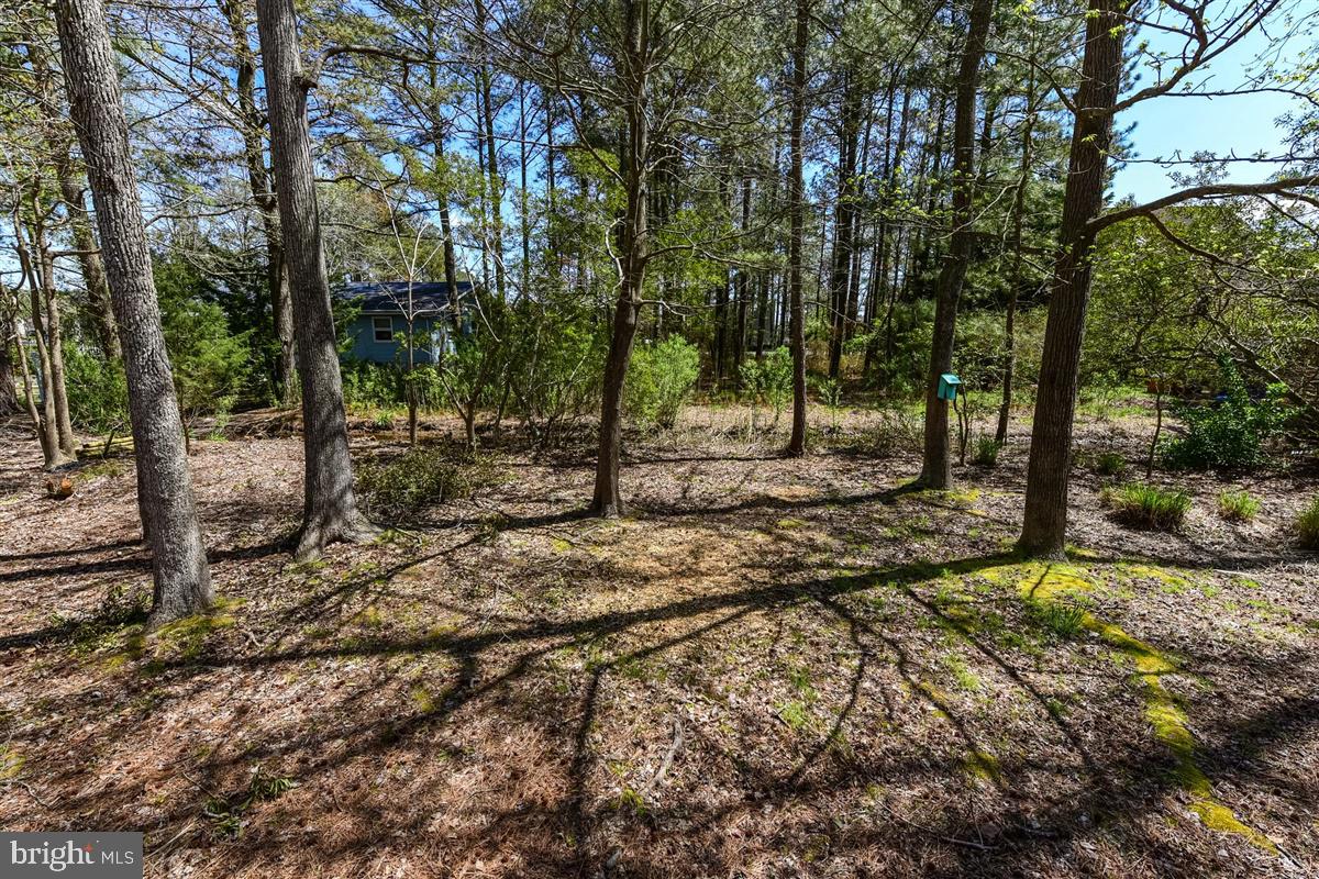 16 Mist Flower Road Ocean Pines, MD 21811 - Photo 45 of 51