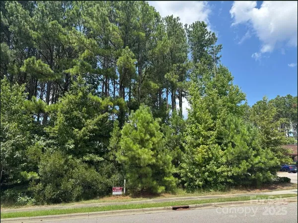 a view of a trees in a yard