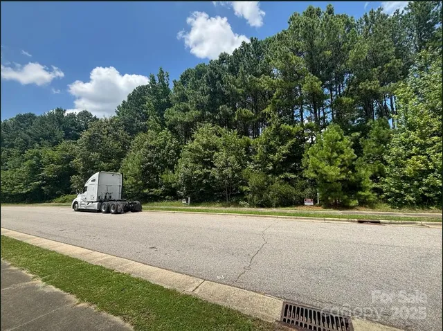 a big yard with lots of trees