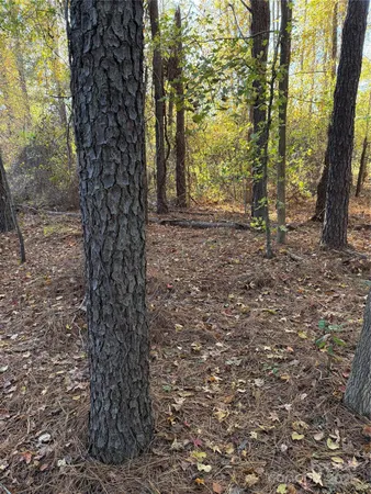 $167,000 | 141-145 State Avenue, Clayton, NC 27520