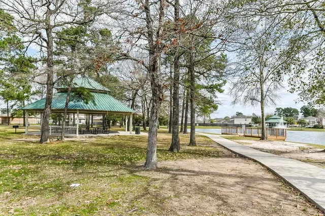 a view of a park with large trees