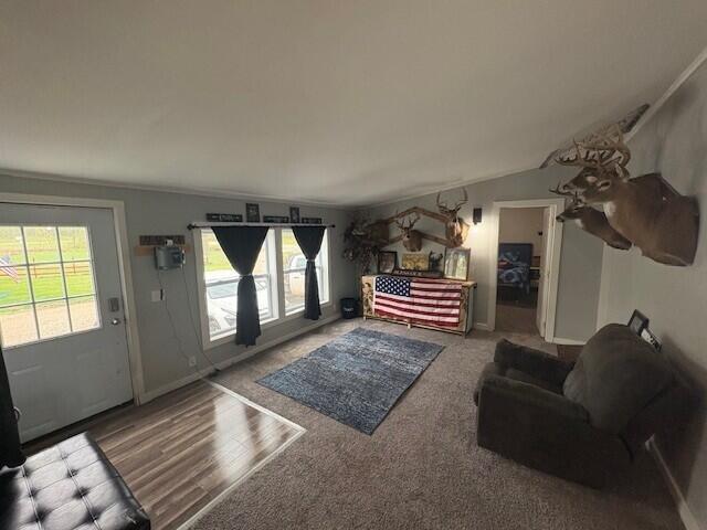 3775 16 Mile Road Marion, MI 49665 - Photo 11 of 55 wa7
