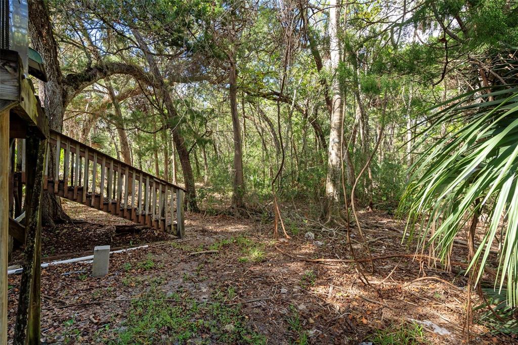6176 South Hancock Road Homosassa, FL 34448 - Photo 22 of 33 a view of a pathway with a tree