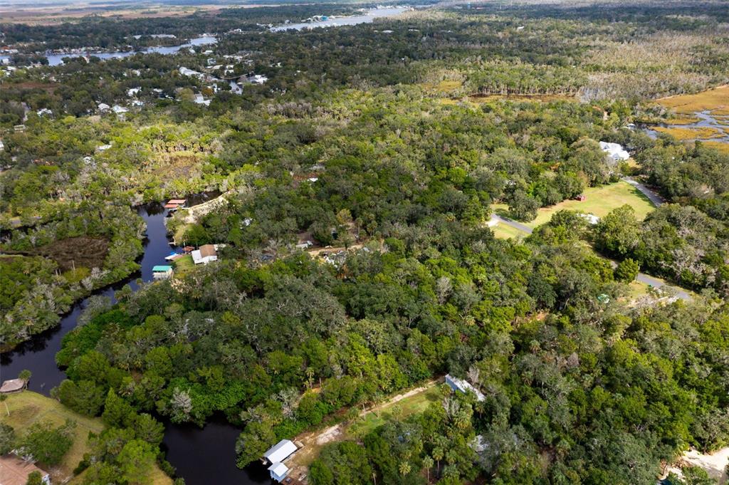 6176 South Hancock Road Homosassa, FL 34448 - Photo 31 of 33 a view of a houses with a lush green forest