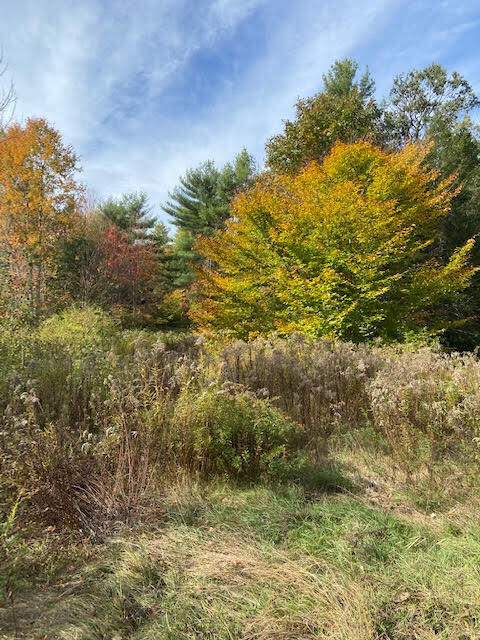 Tbd Allen Road Pownal, ME 04069 - Photo 4 of 7 4