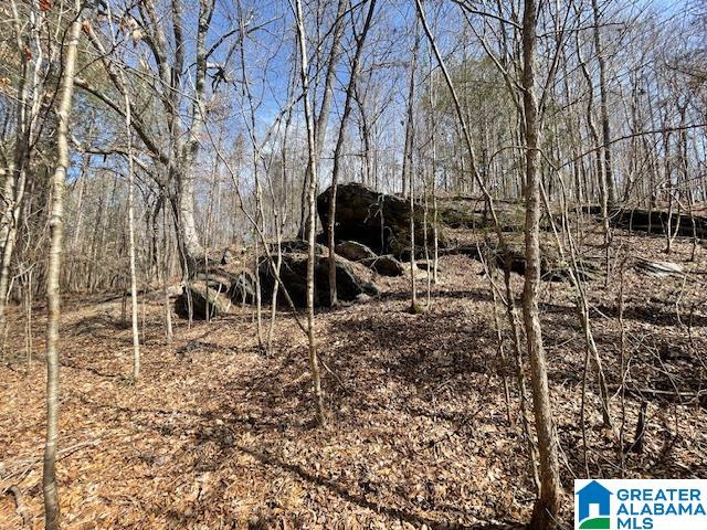 140 County Road, Unit 44 22± AC Wadley, AL 36276 - Photo 6 of 11