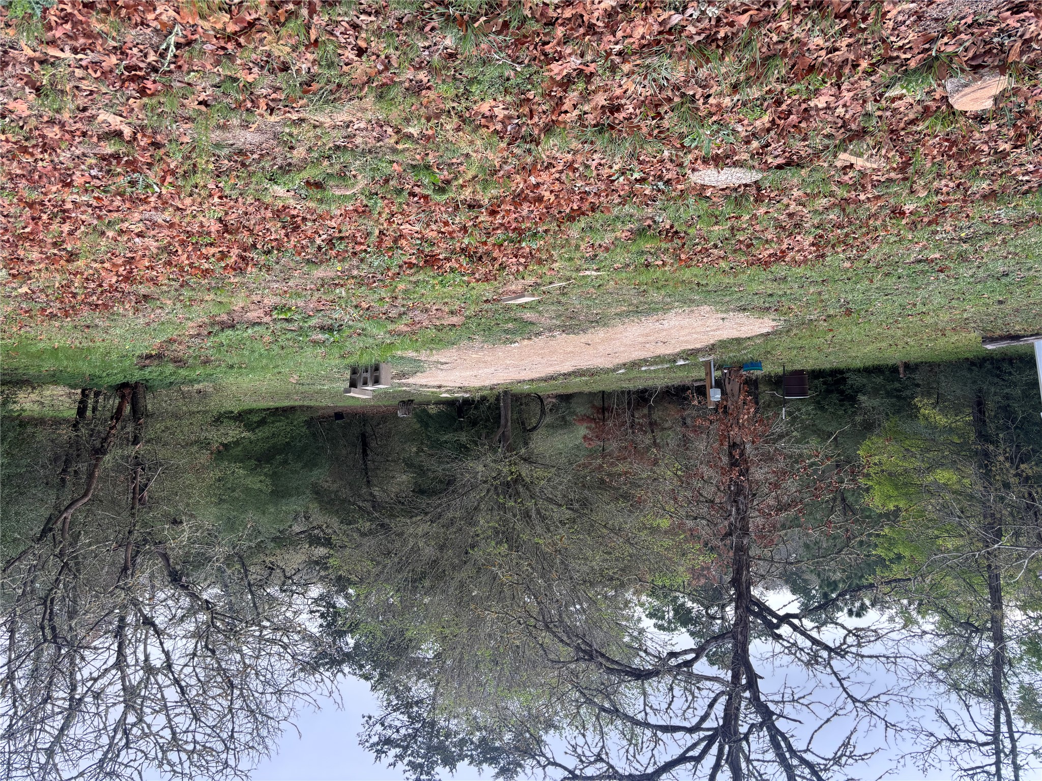 151 Cottle Town Road Smithville, TX 78957 - Photo 3 of 22 a backyard of a house with lots of green space