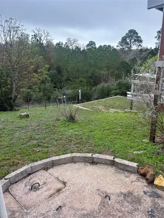 a view of a park with large trees