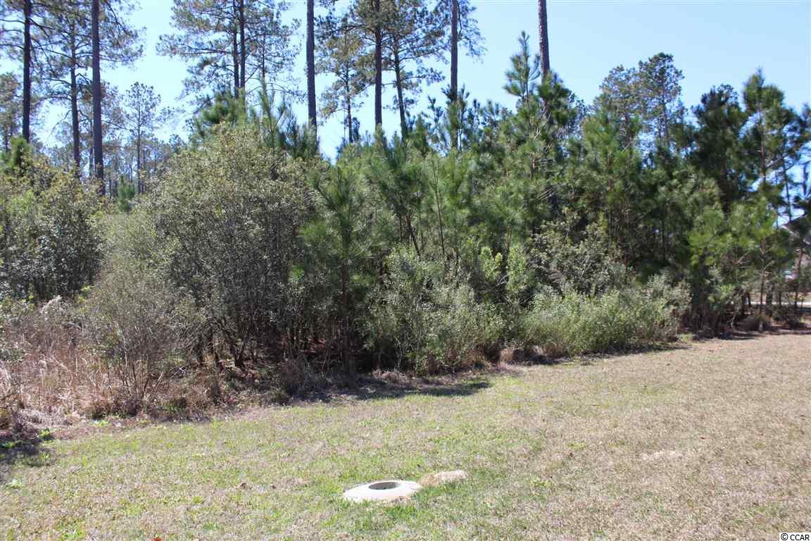 5 Caleb Court Murrells Inlet, SC 29576 - Photo 11 of 24 Gallery Image 11