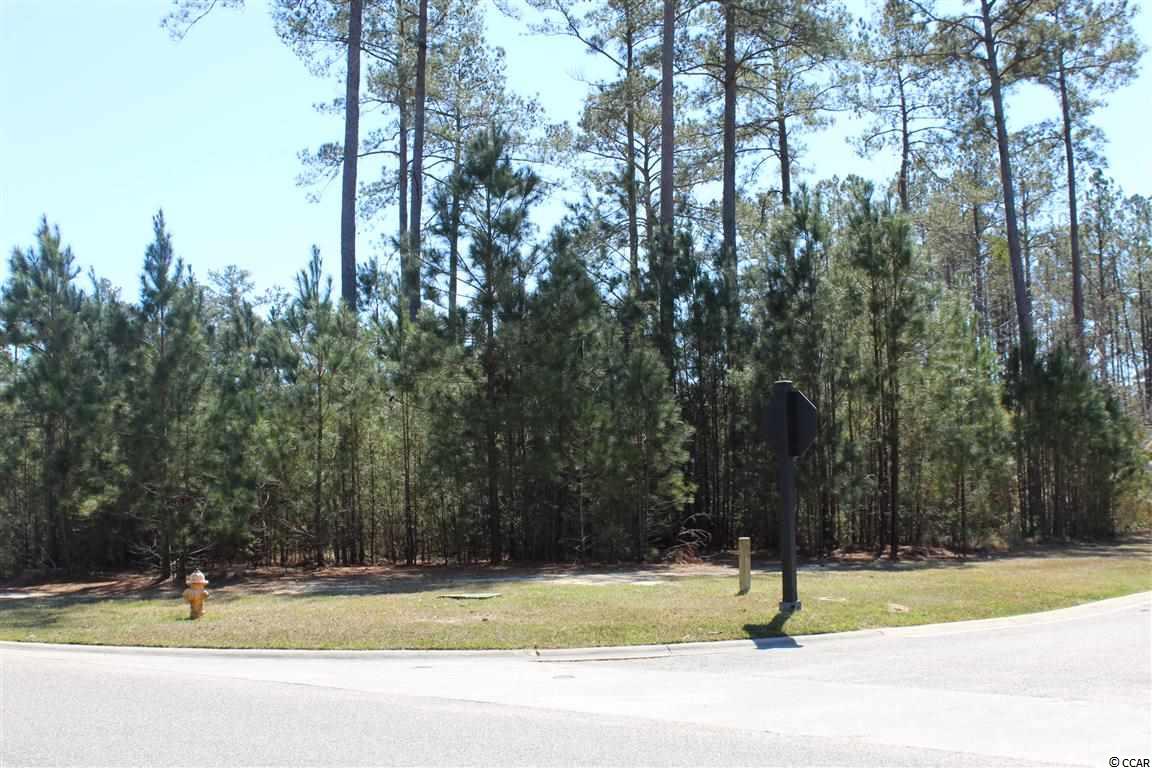 5 Caleb Court Murrells Inlet, SC 29576 - Photo 13 of 24 Gallery Image 13
