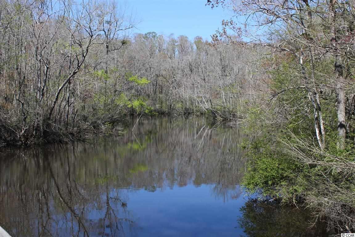 5 Caleb Court Murrells Inlet, SC 29576 - Photo 22 of 24 Gallery Image 22