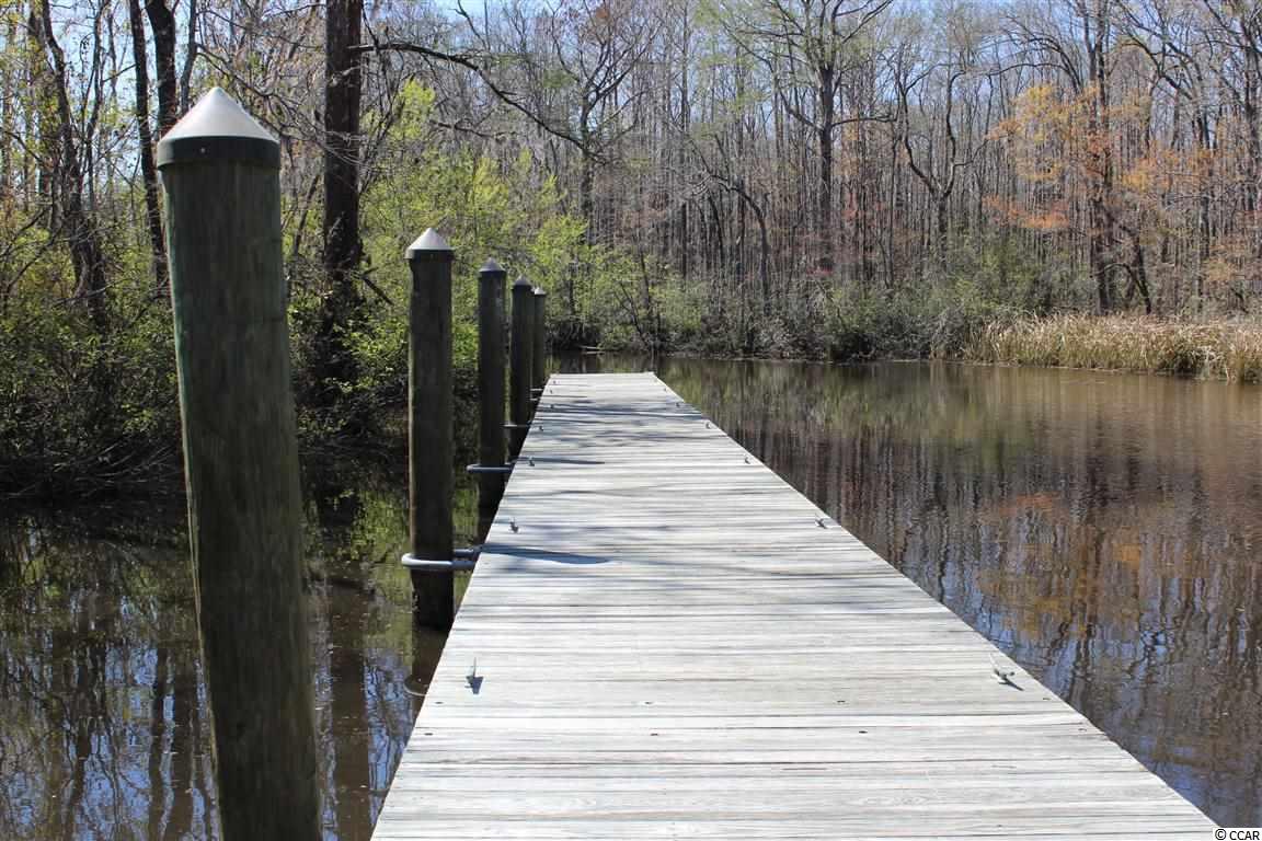 5 Caleb Court Murrells Inlet, SC 29576 - Photo 23 of 24 Gallery Image 23