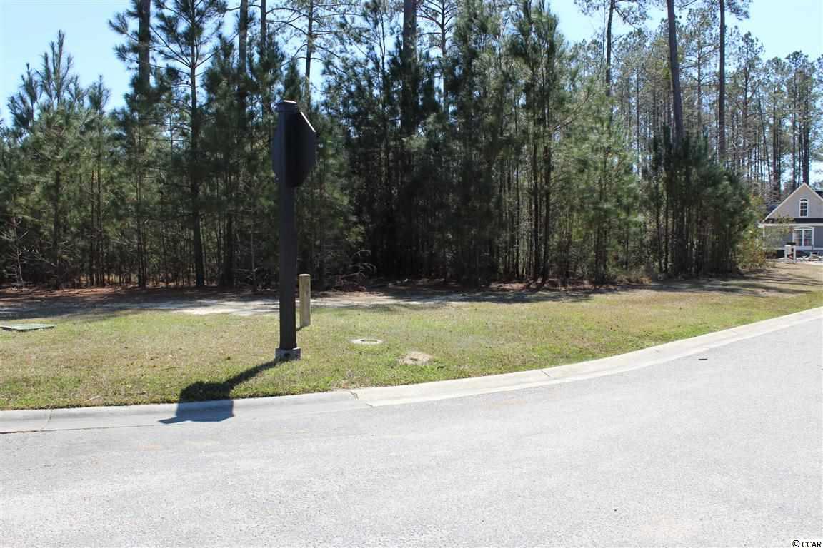 5 Caleb Court Murrells Inlet, SC 29576 - Photo 4 of 24 Gallery Image 4