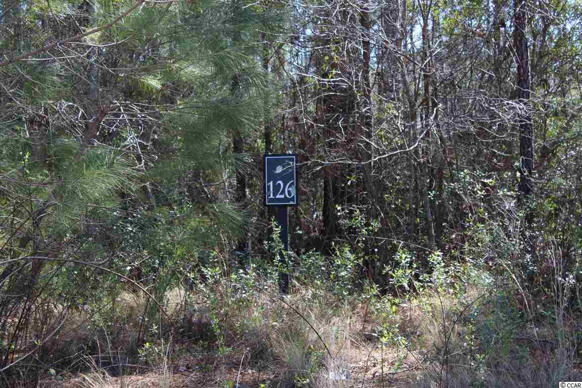5 Caleb Court Murrells Inlet, SC 29576 - Photo 5 of 24 Gallery Image 5
