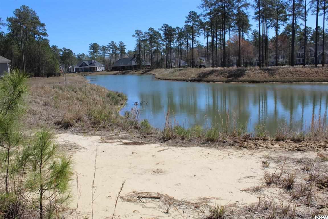 5 Caleb Court Murrells Inlet, SC 29576 - Photo 8 of 24 Gallery Image 8
