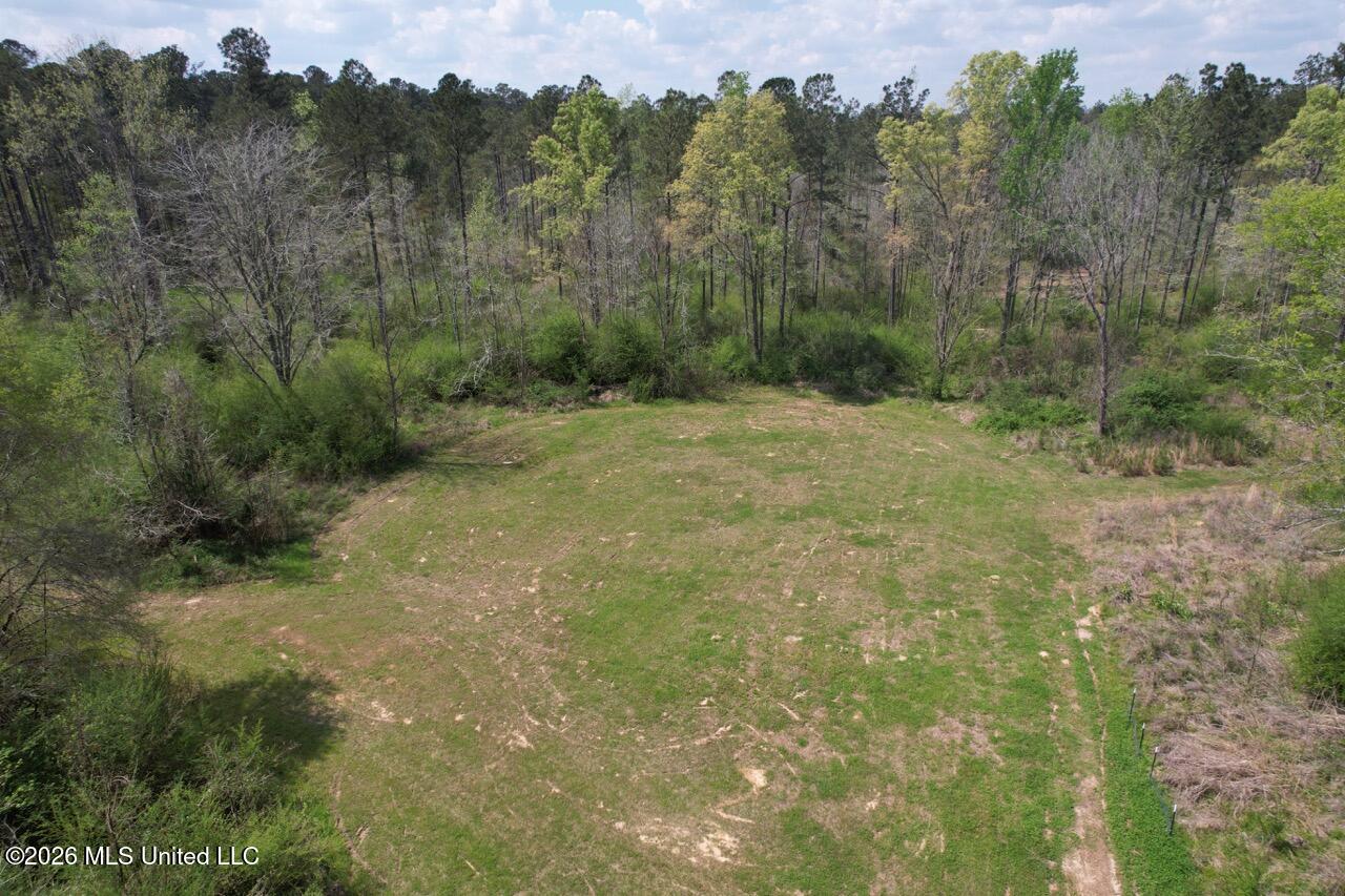 1351 Meadville Road Union Church, MS 39668 - Photo 11 of 55 DJI_0541 Large