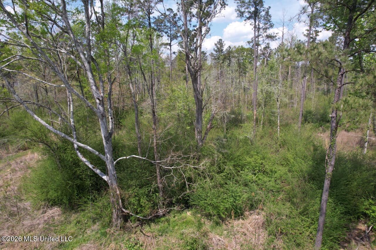 1351 Meadville Road Union Church, MS 39668 - Photo 12 of 55 DJI_0543 Large