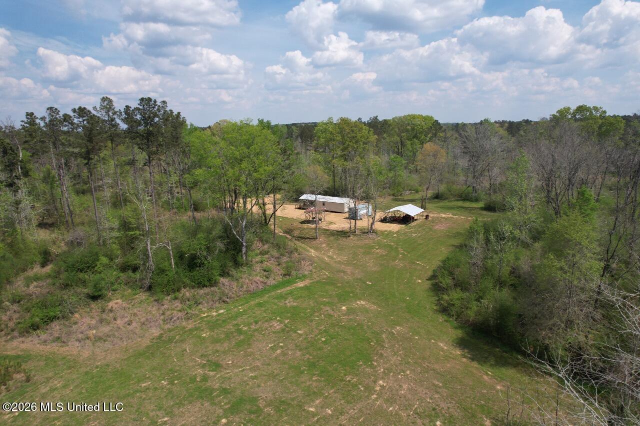 1351 Meadville Road Union Church, MS 39668 - Photo 13 of 55 DJI_0545 Large